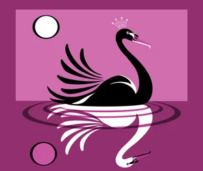 Rozenmeer, 2019